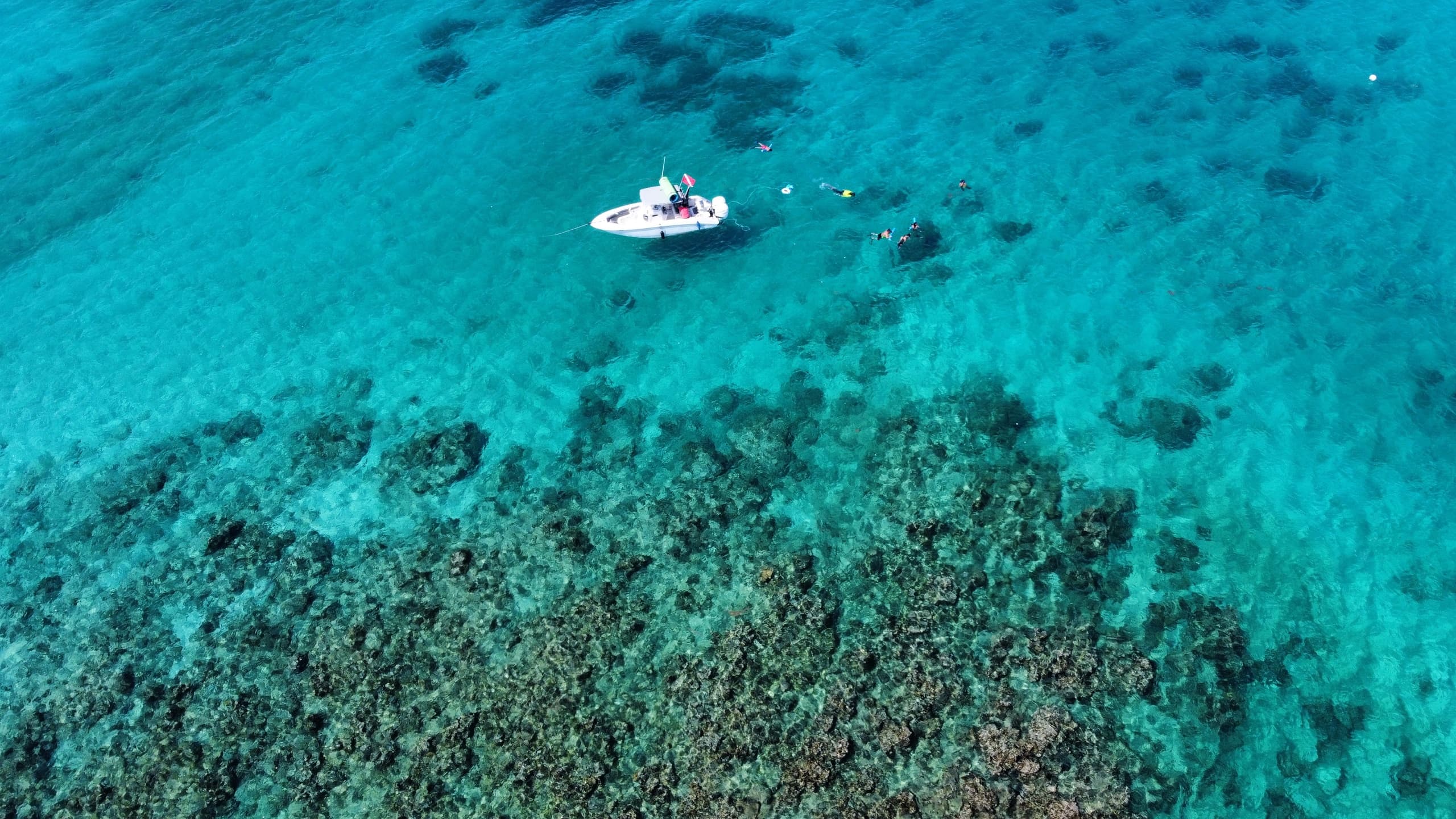 Private Boat & Snorkeling Experience in Fajardo, Puerto Rico