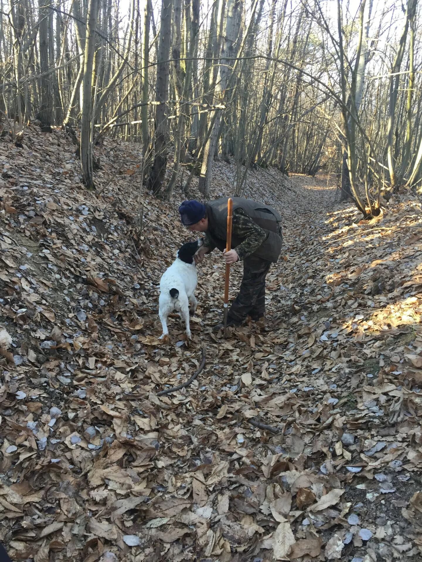 Private Truffle Hunt in Alba — Real Italian Truffle Experience