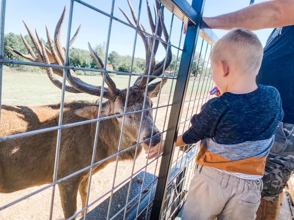Explore Wildlife and Community at Busy B Ranch's Homeschool Adventure Day in Jefferson, TX