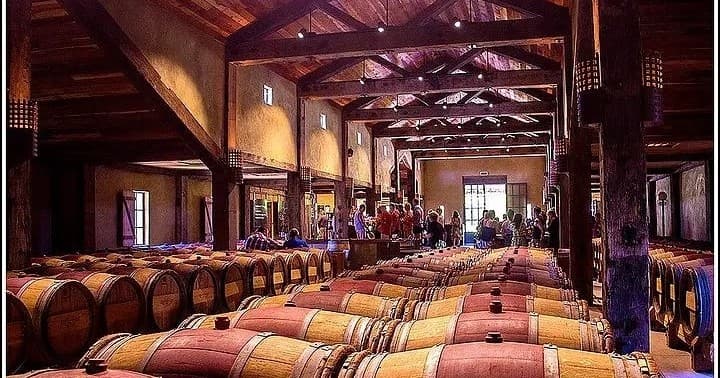 Hawkes Bay Scenic Tours: Half-Day Winery Journey