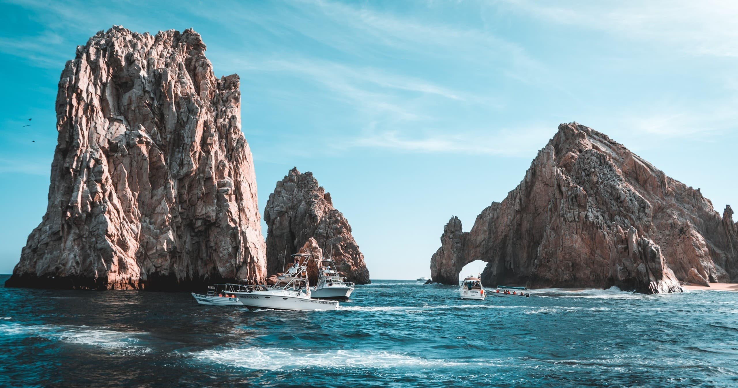 Best Pelican Rock Snorkel Tour in Cabo San Lucas