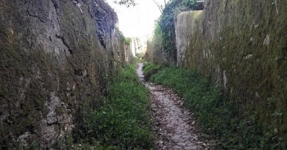 Mossy hedged hiking trail winding through rural Portuguese countryside