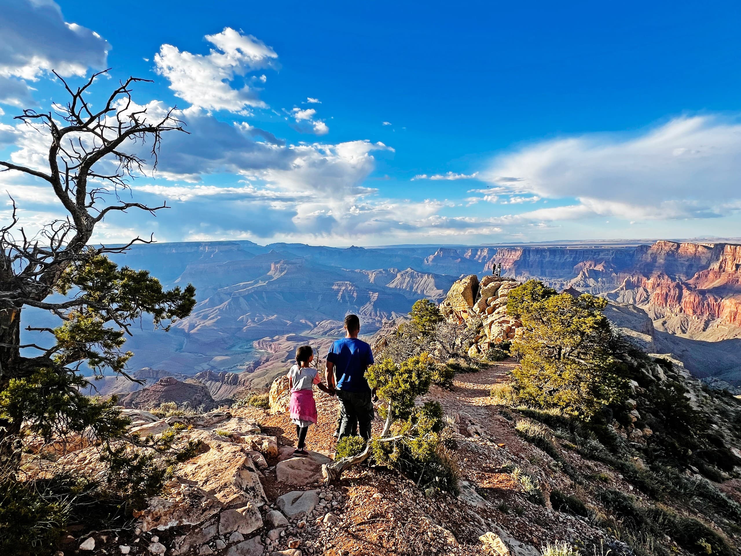 Grand Canyon Day Tour from Williams — Small-Group South Rim Highlights & Desert View Watchtower photo 2