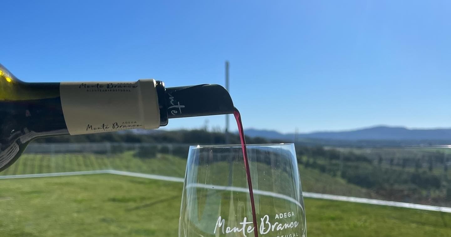 Wine Tours at Estremoz Winery - Discover Local Flavors