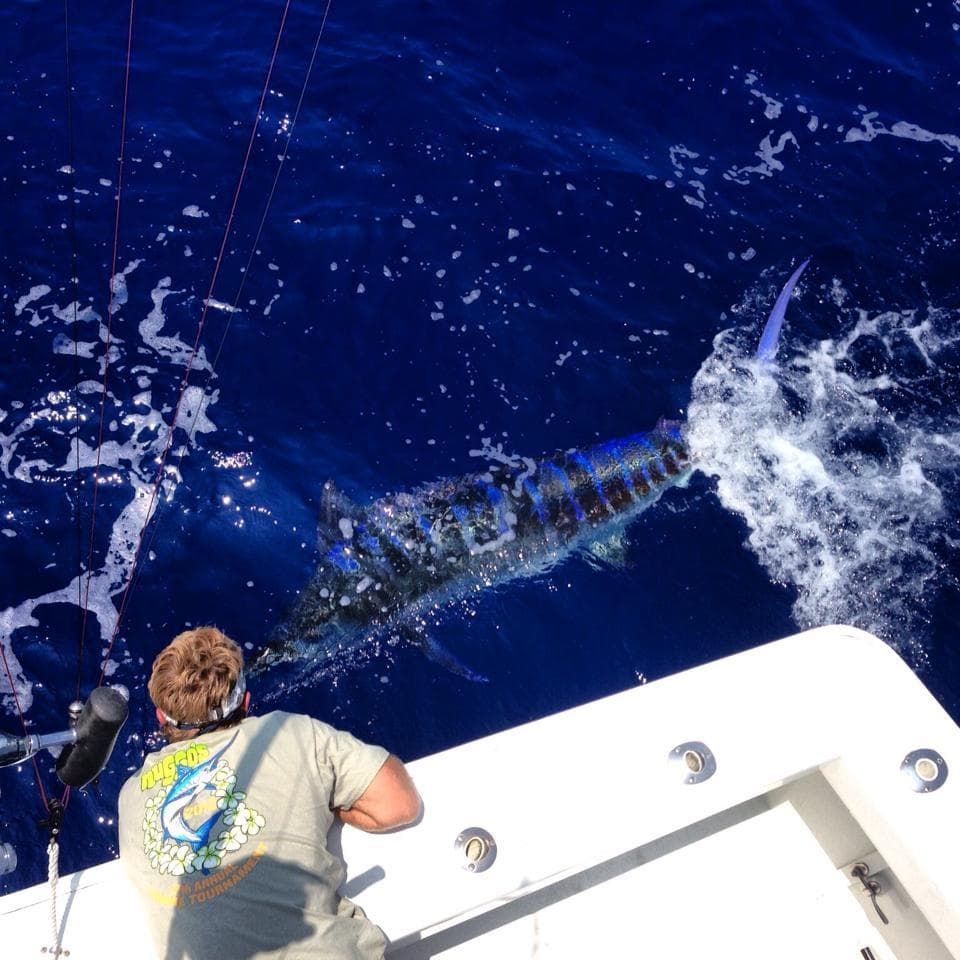 Angler fighting marlin in deep blue ocean during sportfishing