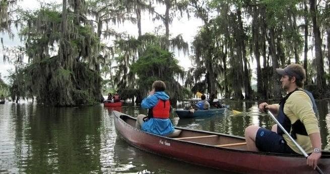 Canoeists navigating moss-draped forest river under trees