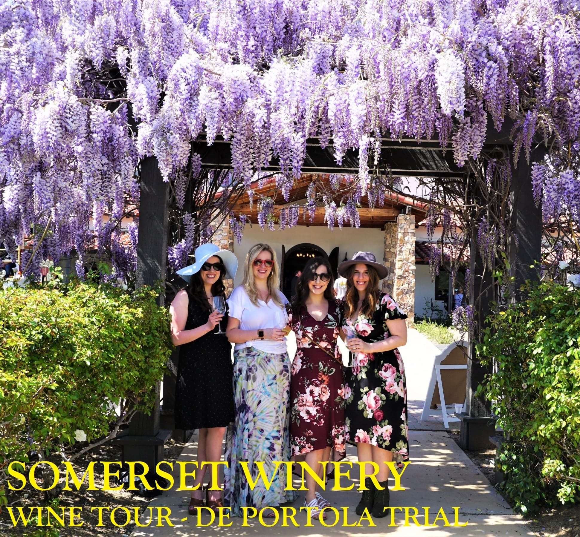Sunday Special Wine Tour in Temecula: Two Wineries, Lunch & Live Music