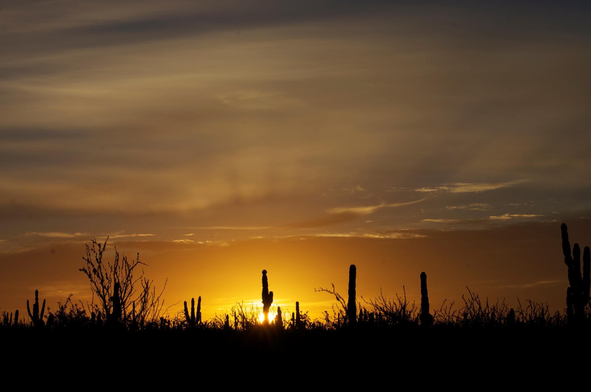 Coastal sunset silhouette with lighthouse and fishing boats offshore
