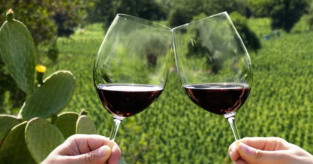 Wine Tasting & Vineyard Tour at Douro Wines by Exclusive Douro