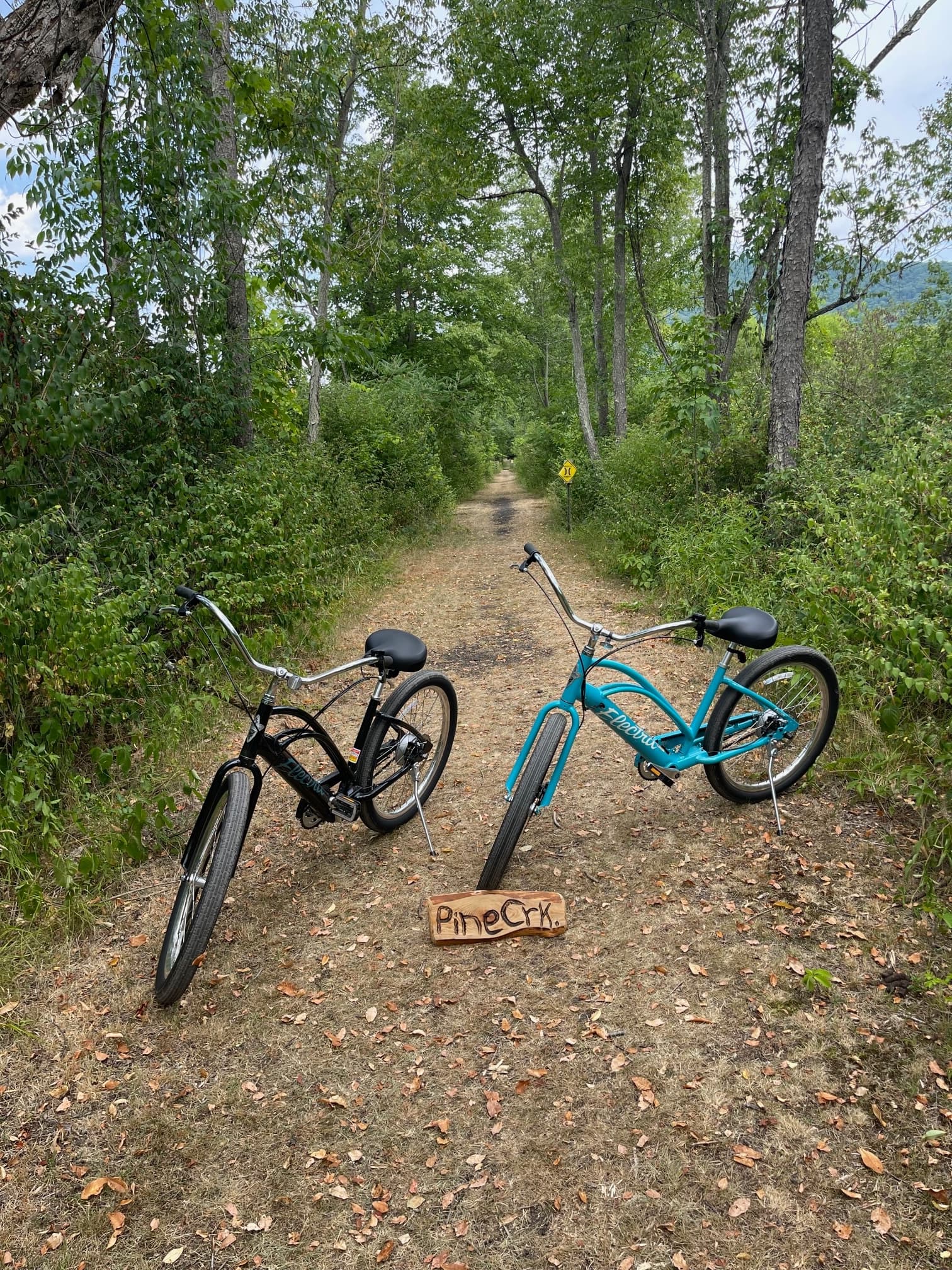 E-Bike Rentals Adventure on Pine Creek Rail Trail