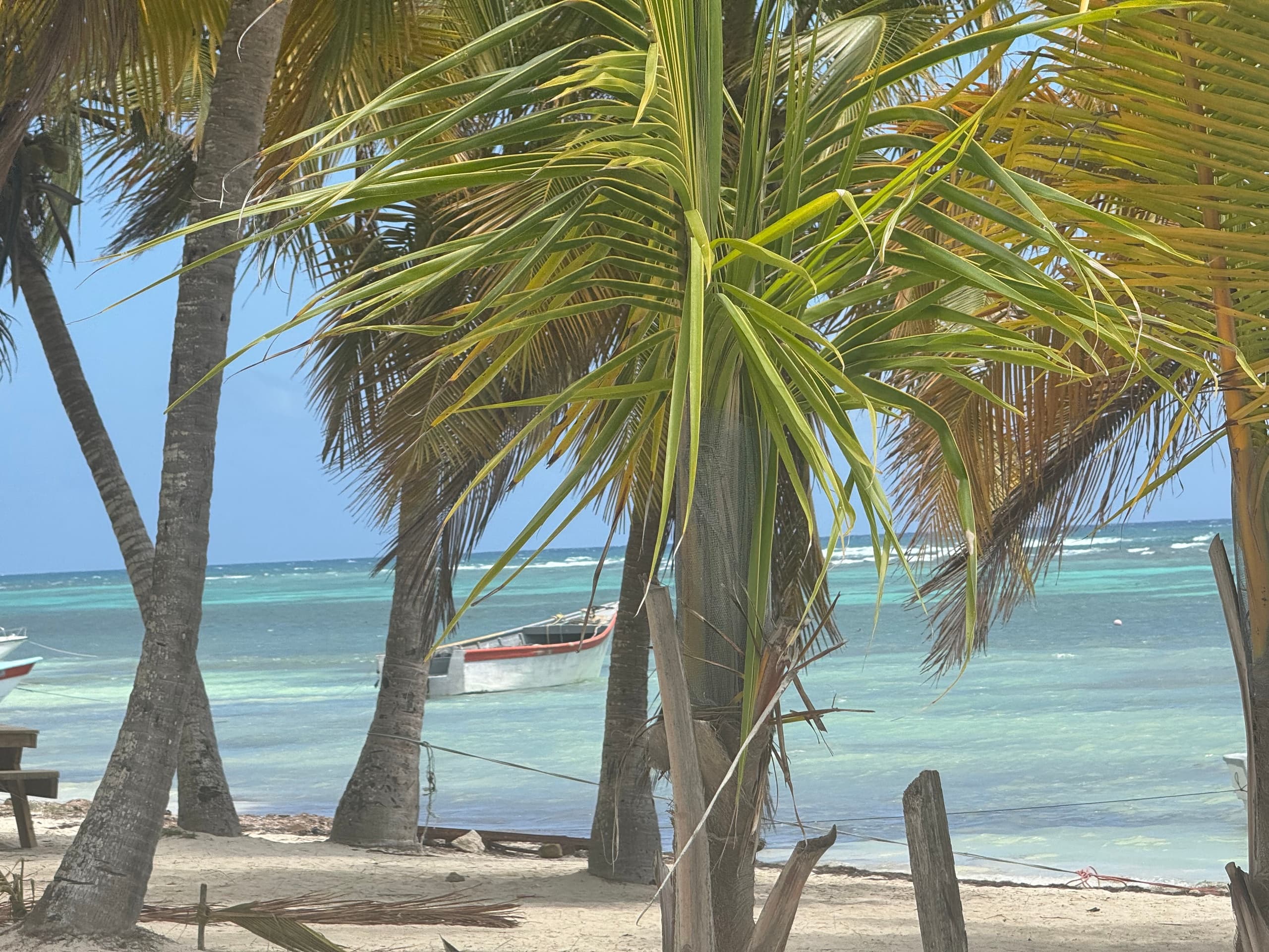 Sunrise & Sunset Cruises in Fajardo, Puerto Rico