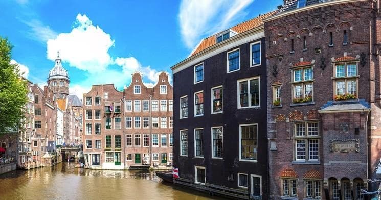 Dutch City & Windmill Tour with Camaleon Tours in Amsterdam