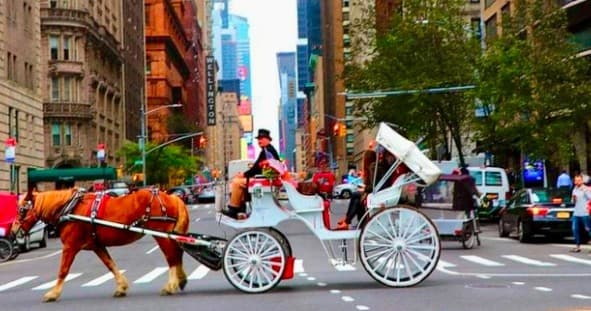 Classic Central Park Horse Carriage Ride: 45-Minute Iconic Tour in Manhattan
