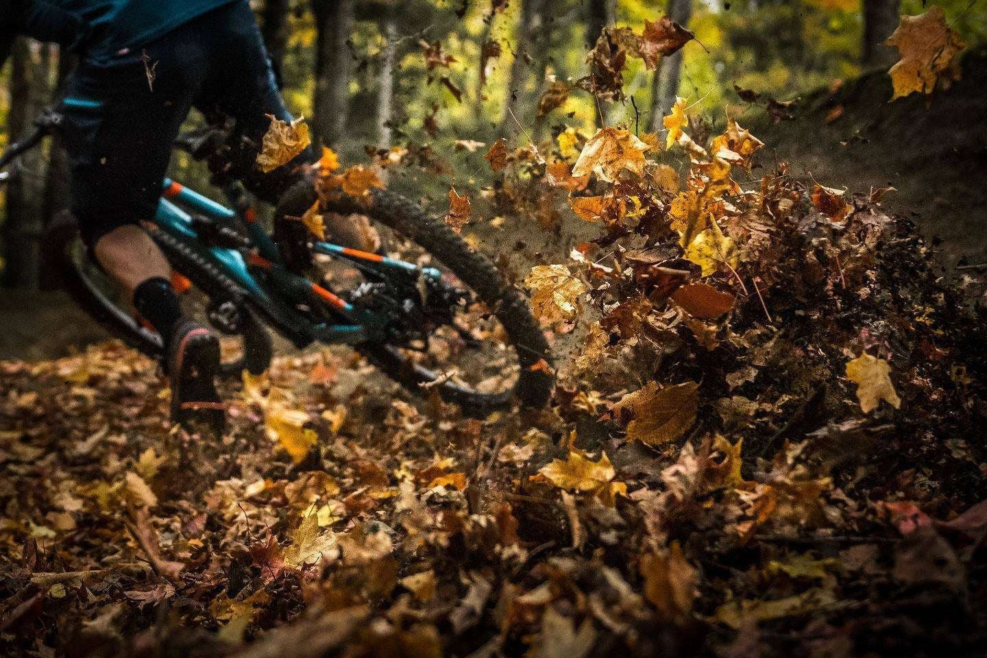 Mountain Biking with High Peaks Cyclery in the Mountains