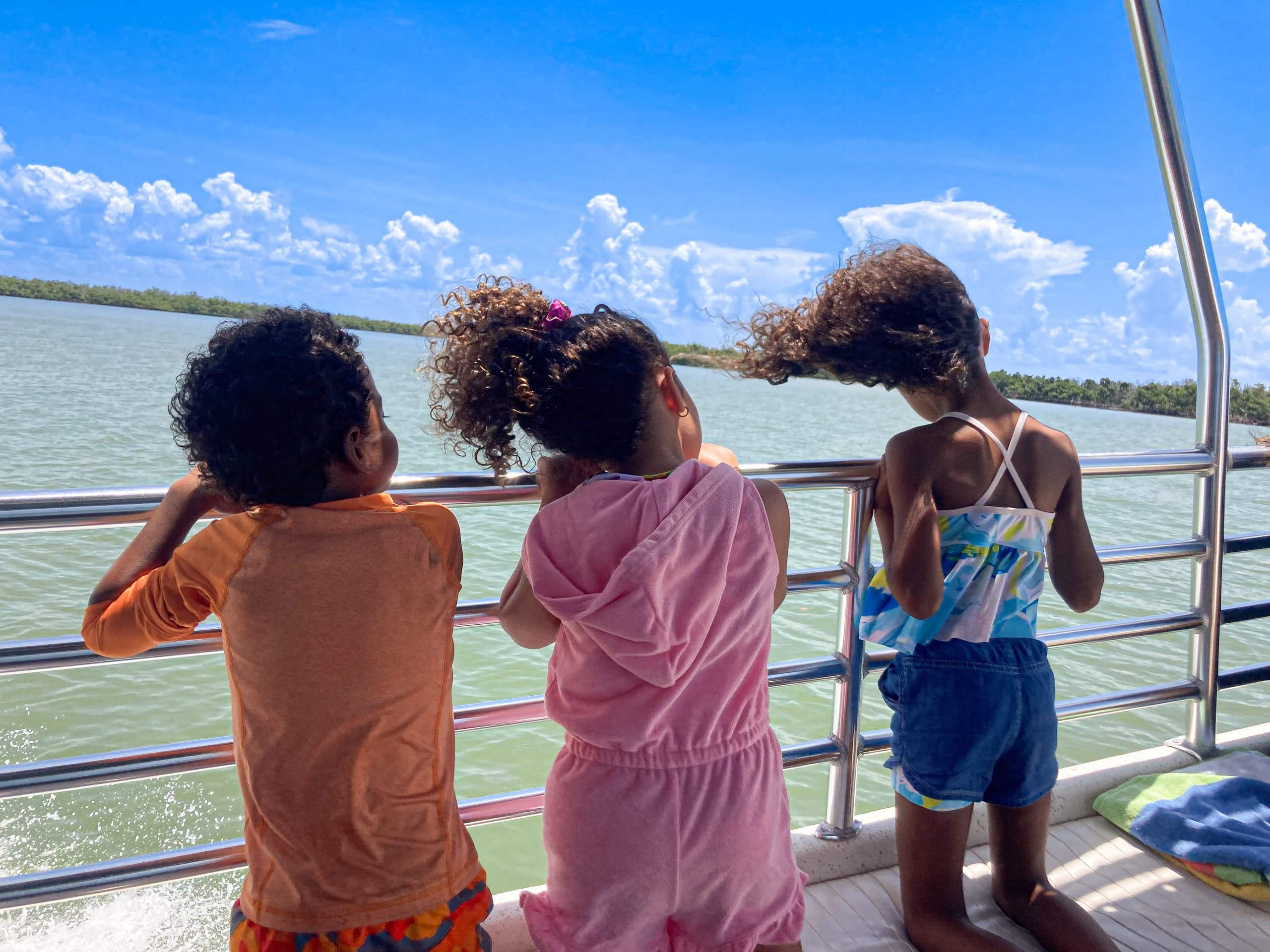 Private Wildlife Sightseeing and Shelling Tour in Goodland, FL