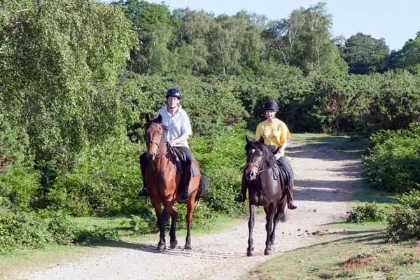 Horseback Riding near Santa Pola with Pura Aventura