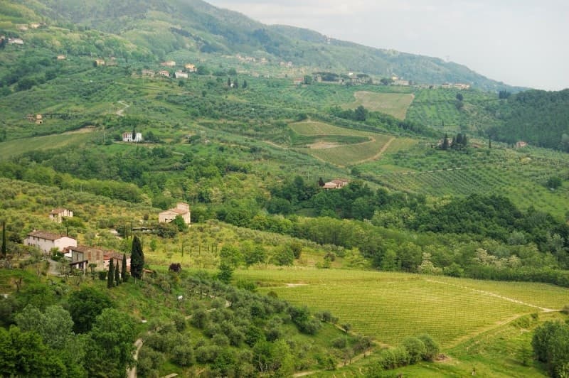 Land Adventures: Lucca Wine Roads Bike Tour - Tuscany's Hidden Gems