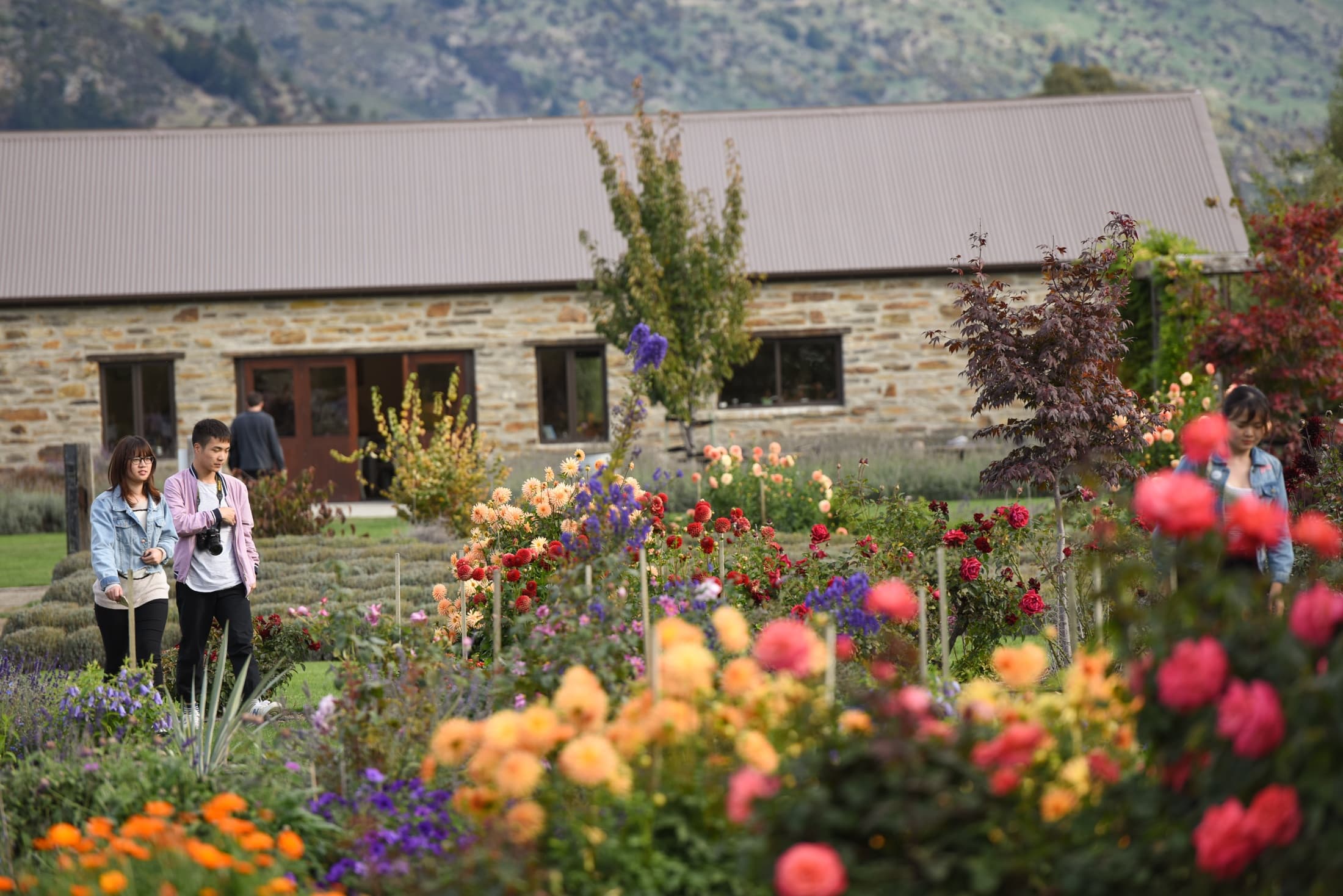 Visitors strolling through colorful gardens at Wanaka lavender