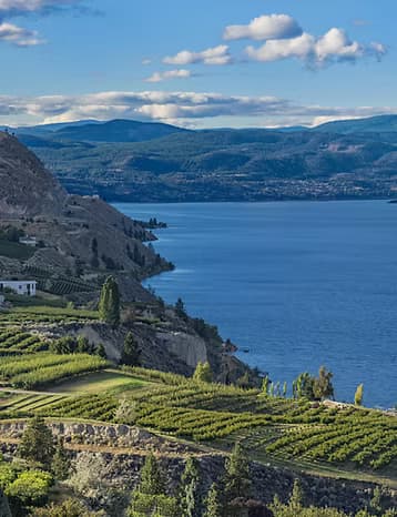 Water Activities & Wine Tasting with Summerland Tour