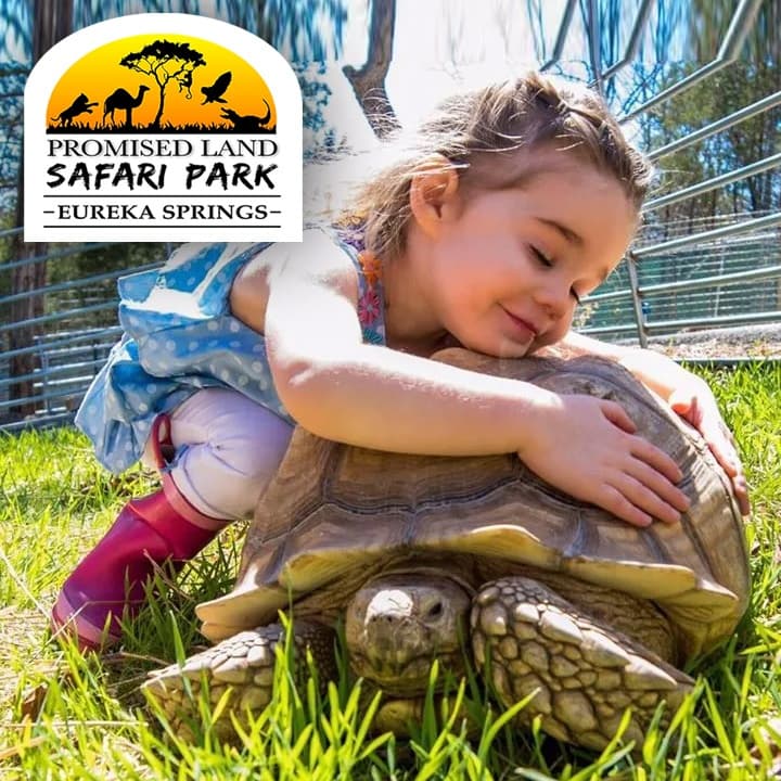 Safari VIP Animal Adventure at Eureka Springs Safari Park, Eagle Rock