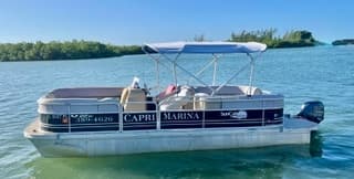Isles of Capri Pontoon Rentals: Fish, Shell, and Wildlife in the Ten Thousand Islands