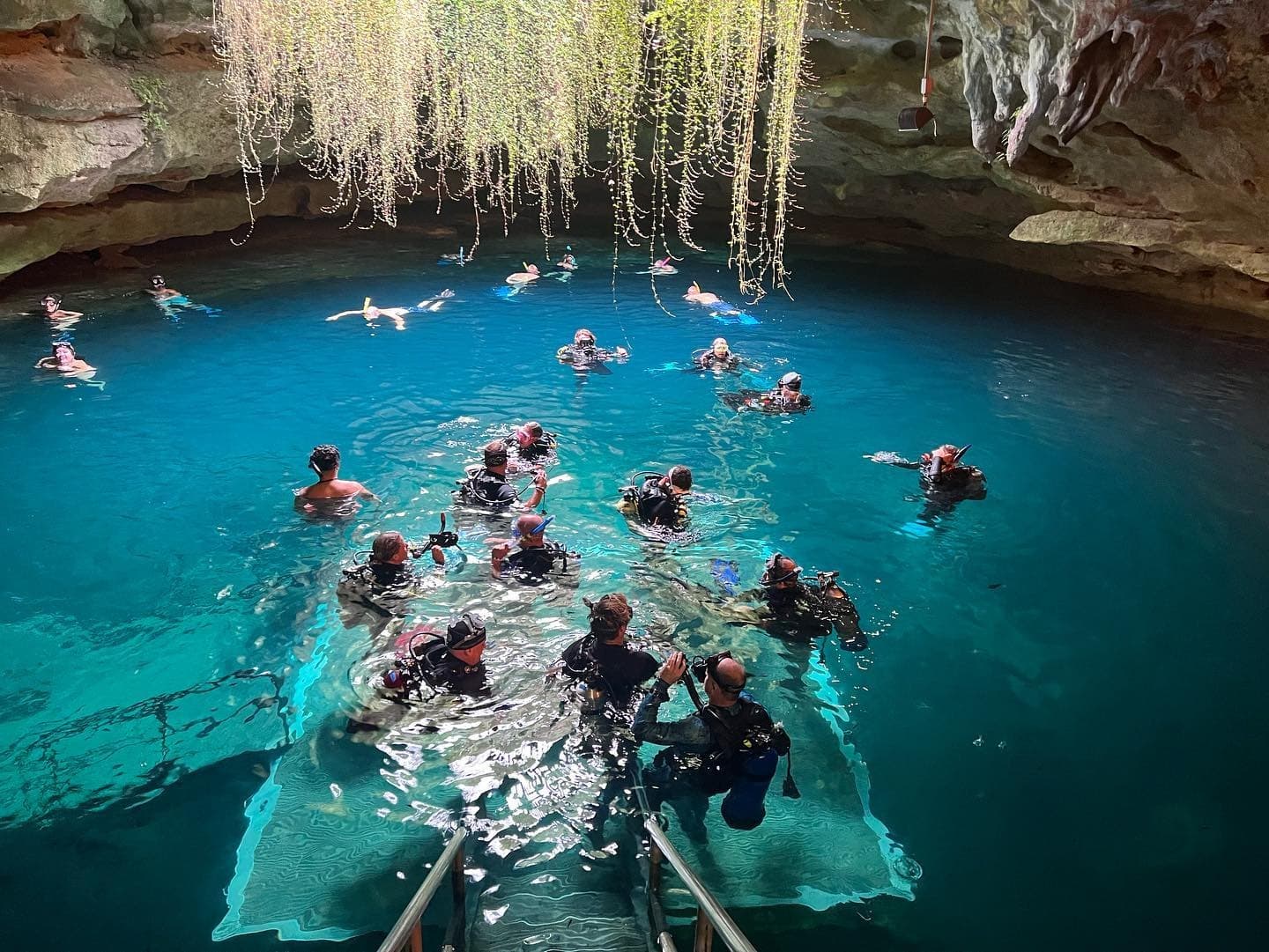 Swimmers and snorkelers entering lush cenote cave pool