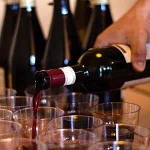 One-Hour Open Wine Tasting & Tapas at bravowinebar in Madrid