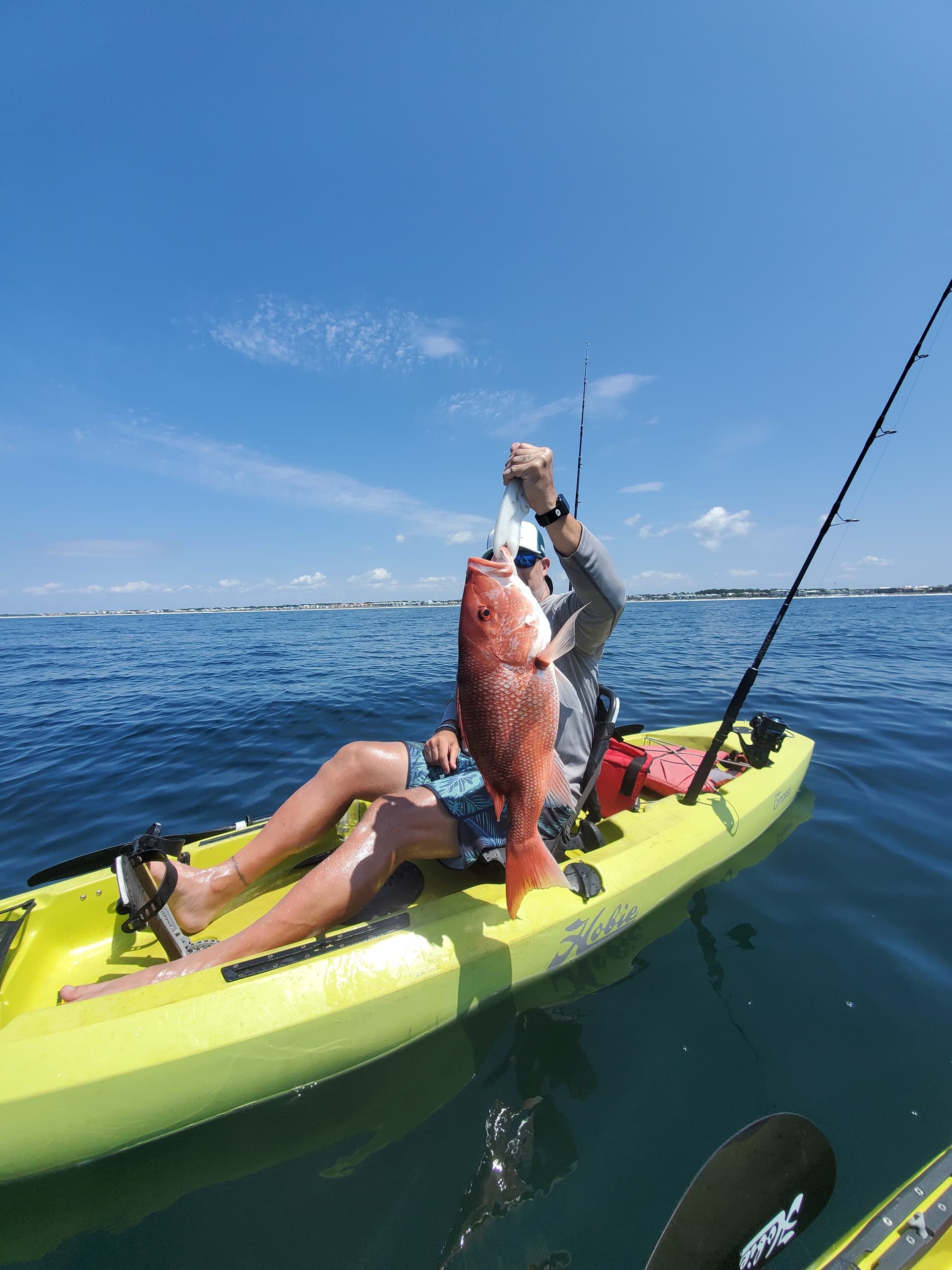 Offshore in Four Hours: Santa Rosa Beach Gulf Fishing and Wildlife Charter