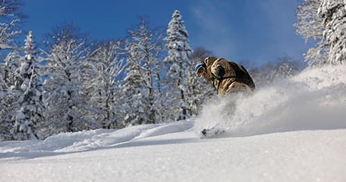 Winter Wonderland Ski Shop team