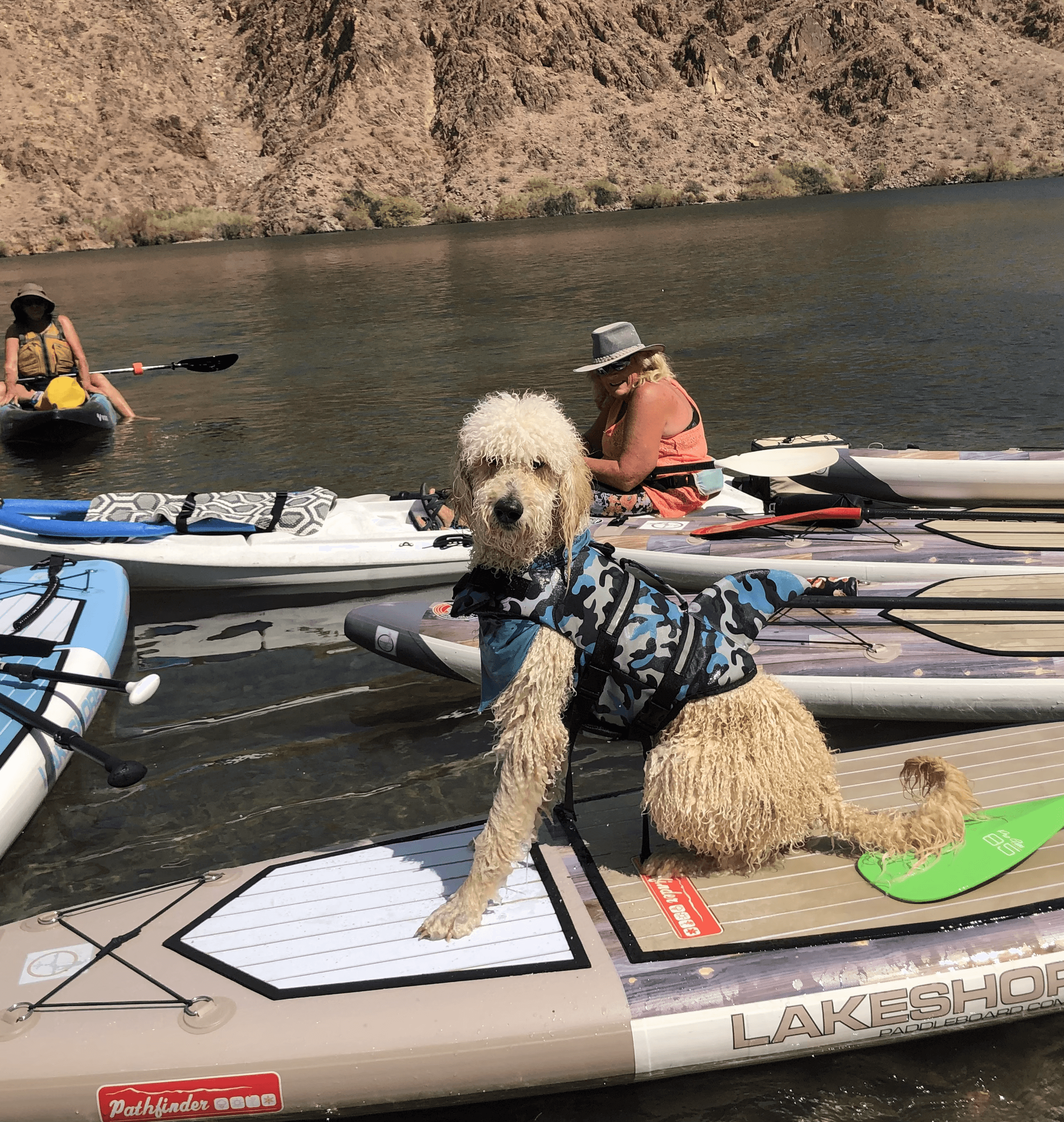 DogOnSUP: Paddleboarding with Dogs in Boulder City, NV