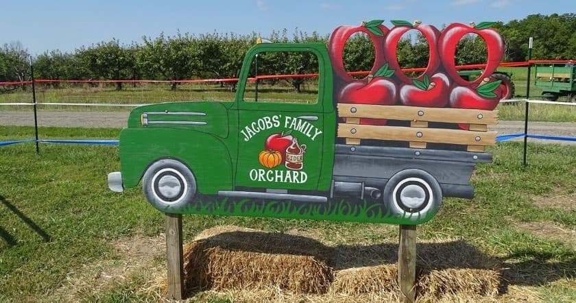 Autumn at Jacob's Family Orchard: Wagon Rides, Sunflowers & Pumpkin Picking in Franklin, Indiana