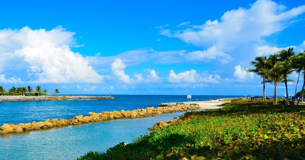 Scenic Jupiter Inlet coastline with palm trees and calm boating waters