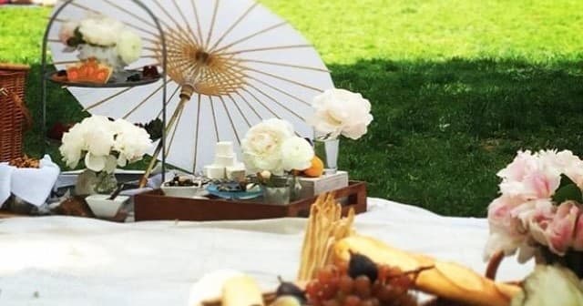 Summer park picnic with blankets and scenic green lawn