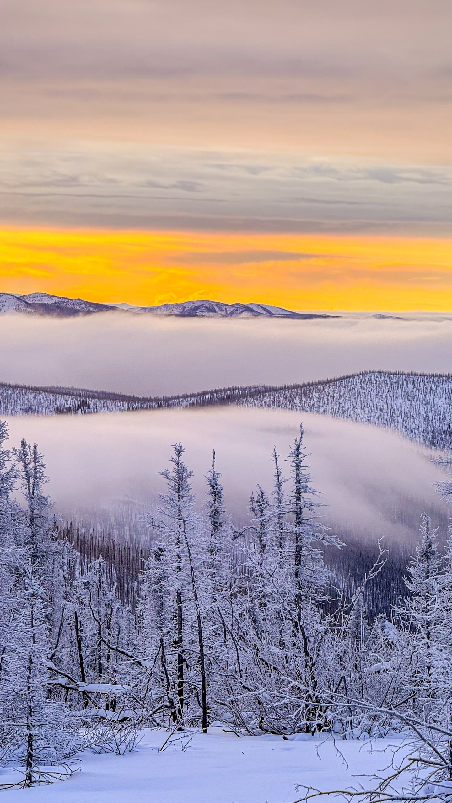 Chena Hot Springs Beginner Photography Workshop: Shoot Better Photos in 30 Minutes photo 2