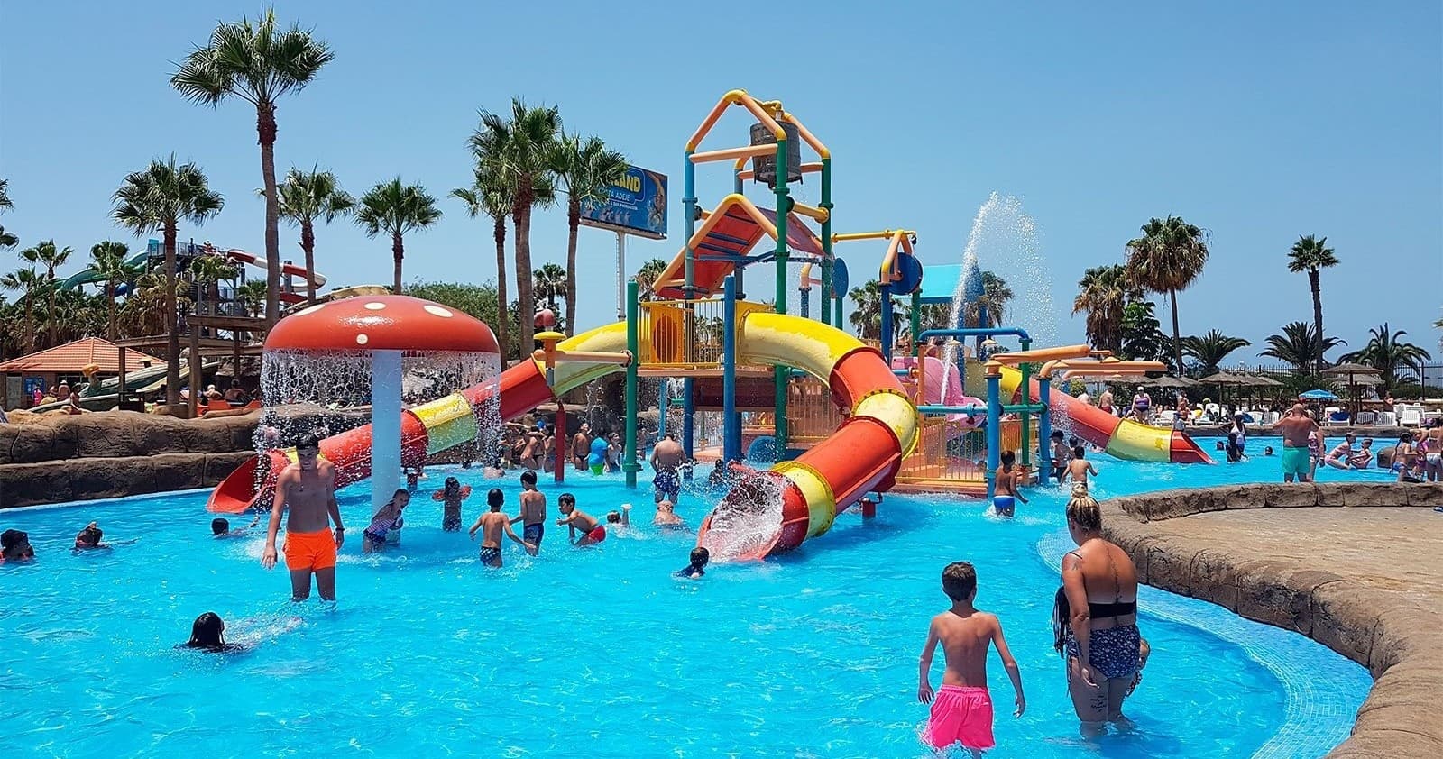 Aqualand Costa Adeje: Full-Day Water Park & Dolphinarium in South Tenerife photo 1