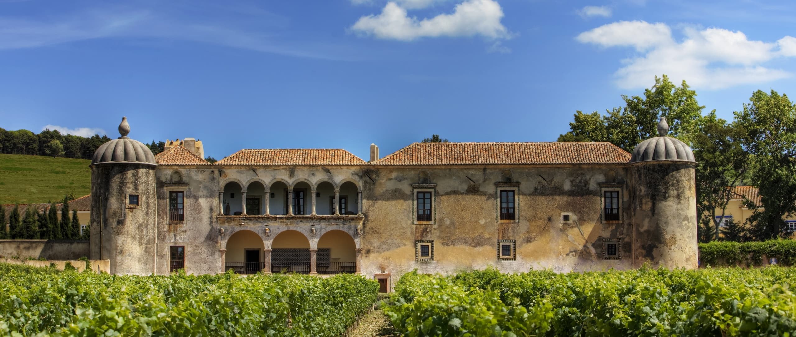 Wine Tasting Tour in Setúbal | Fantastic Ride Experience