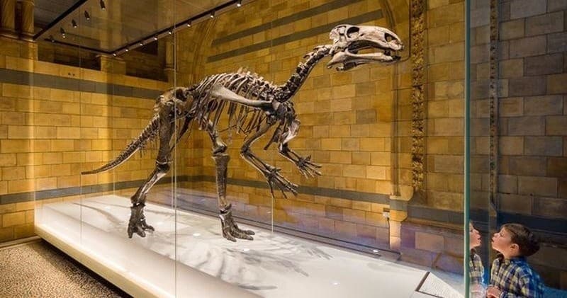 Family Dinosaur Tour by Universal Tour Guide in London