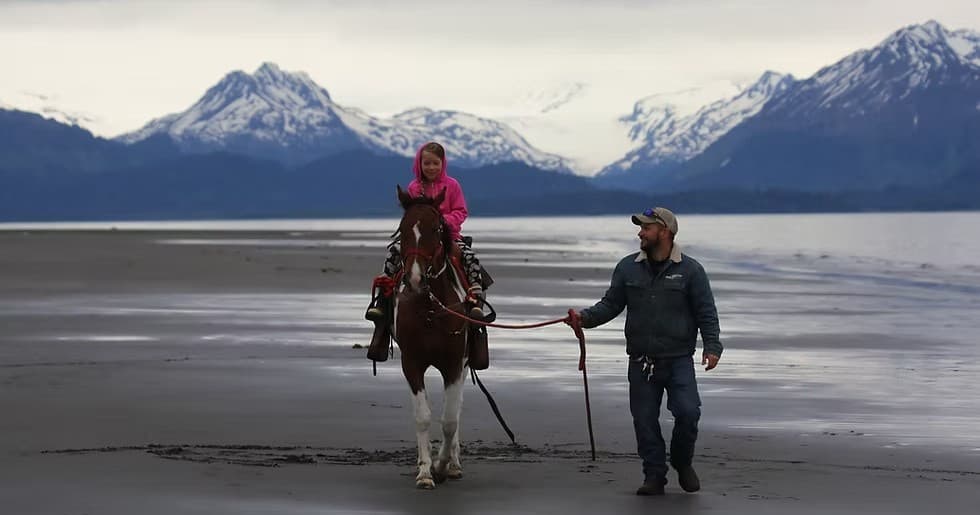 Homer Horse Adventures fleet