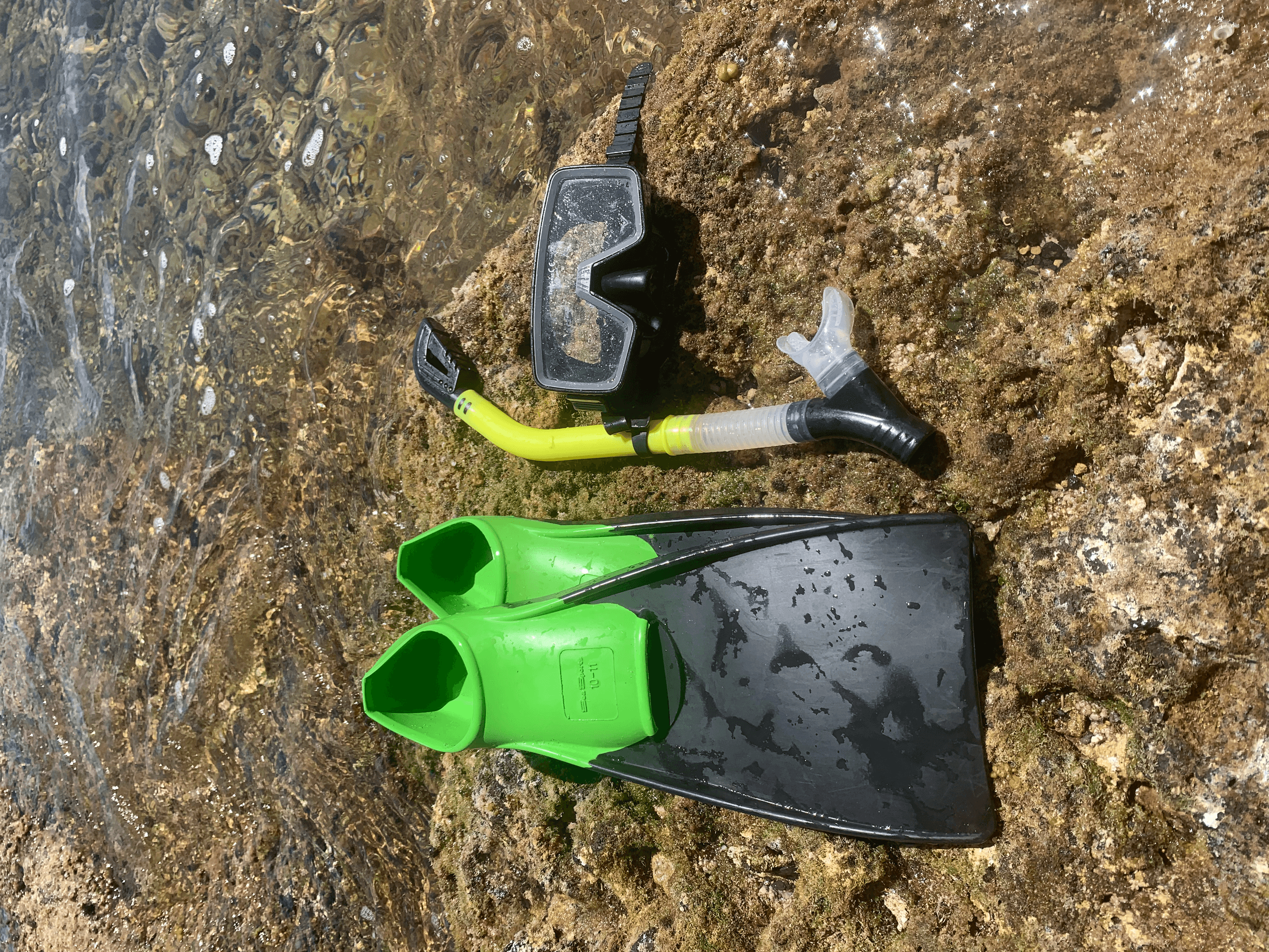 Hanalei Snorkel Set Rental: Glide Through Kauai Reef Gardens with Pro-Level Gear