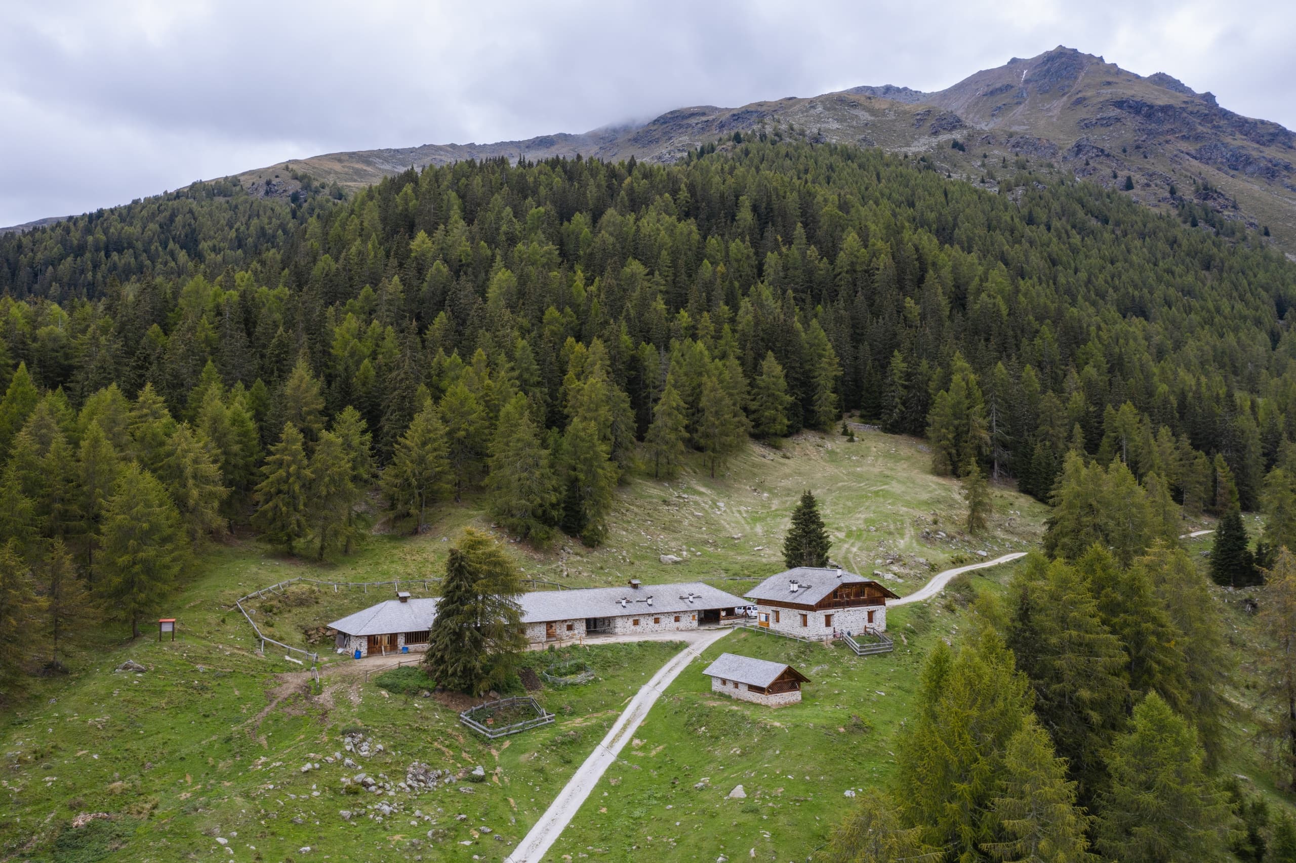 Hiking Malghe Palù e Caldesa with Azienda Turismo Val di Sole