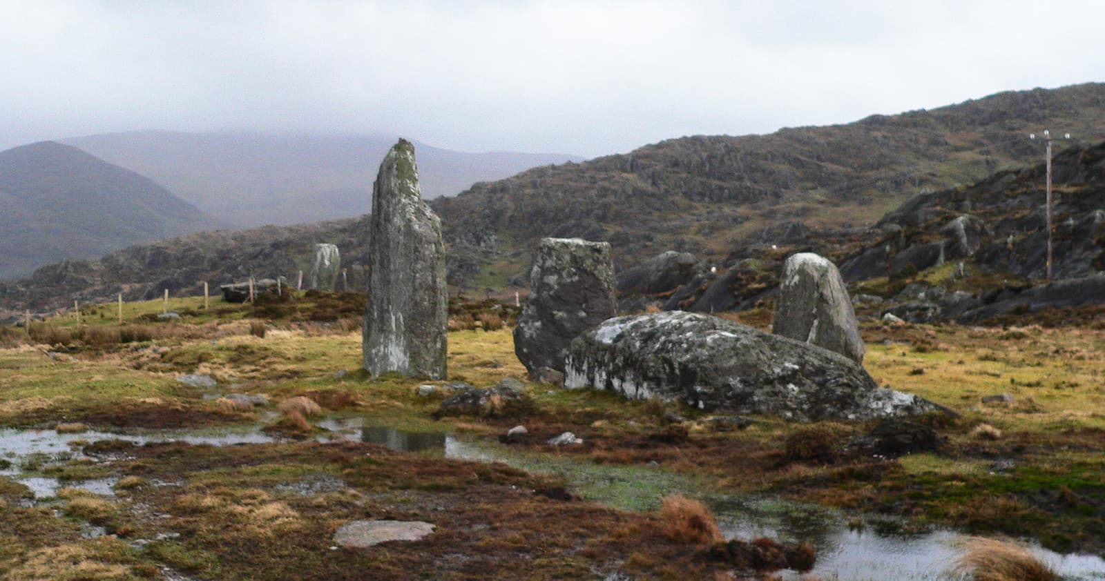 Thin Places Mystical Tours fleet