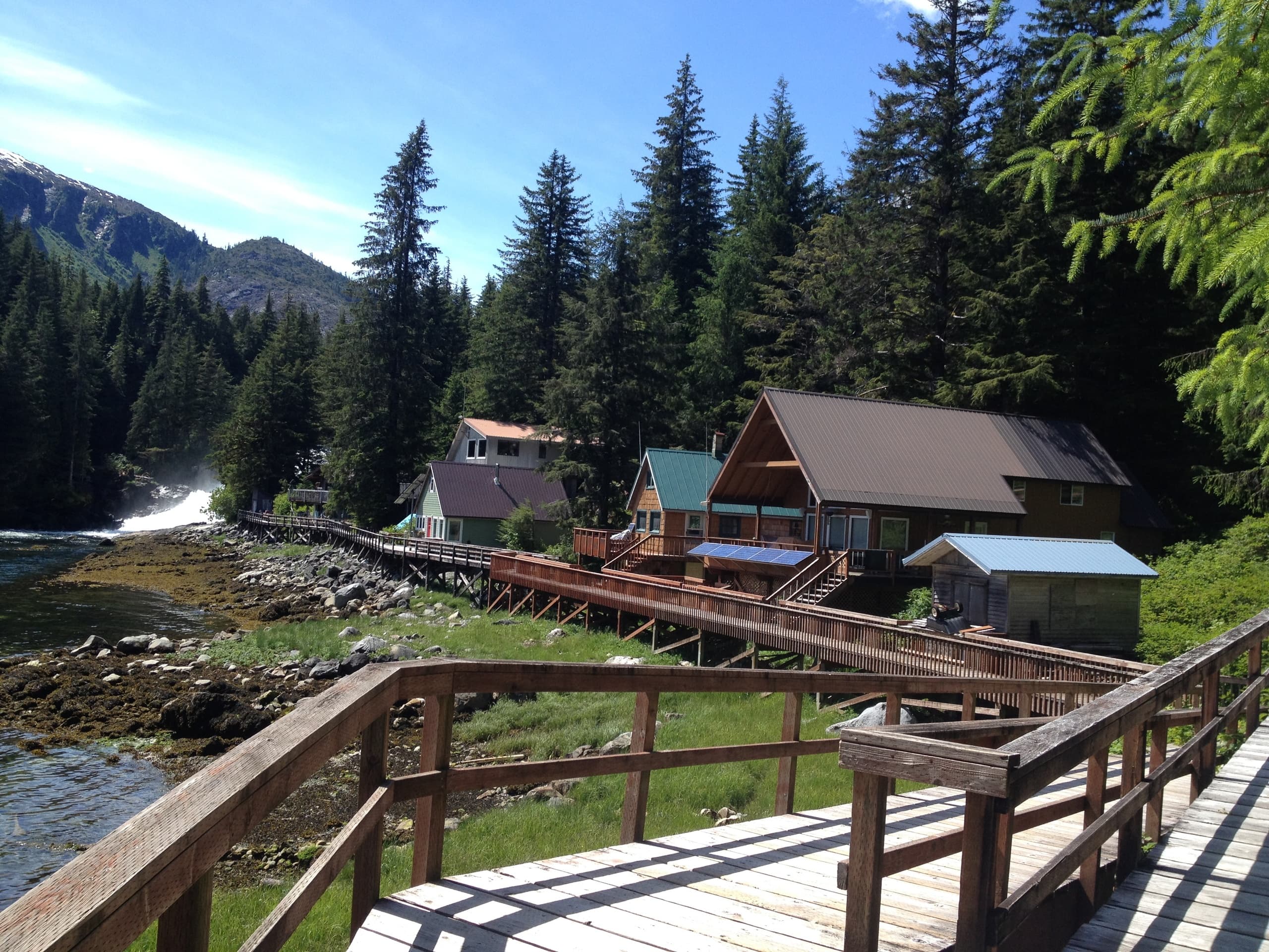 Baranof Warm Springs Tour: Day Boat Soak and Whale Watching from Petersburg