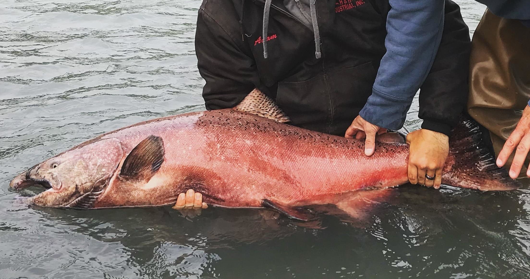 Kasilof River King Salmon Trip with The River Crew