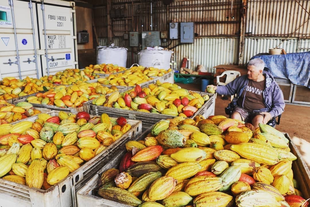Northshore Food & Waterfall Tour by Hi5 Tours in Honolulu