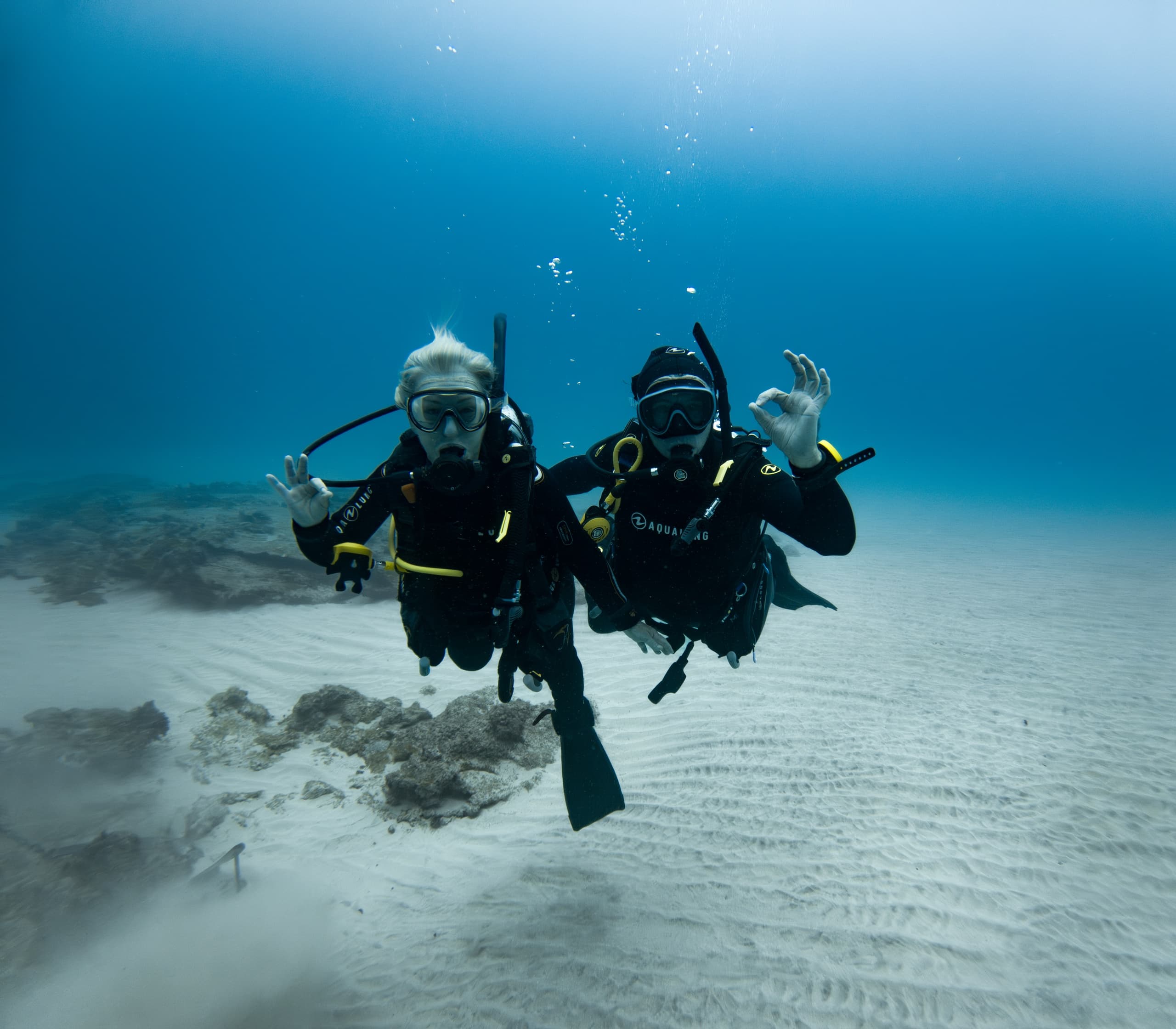 SCUBA Refresher & Certification near Lord Howe Island