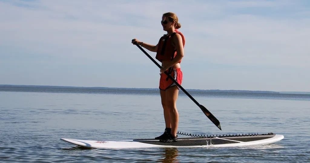 Paddle Sarasota’s Mangrove Tunnels: SUP Wildlife Tour from Lido Key