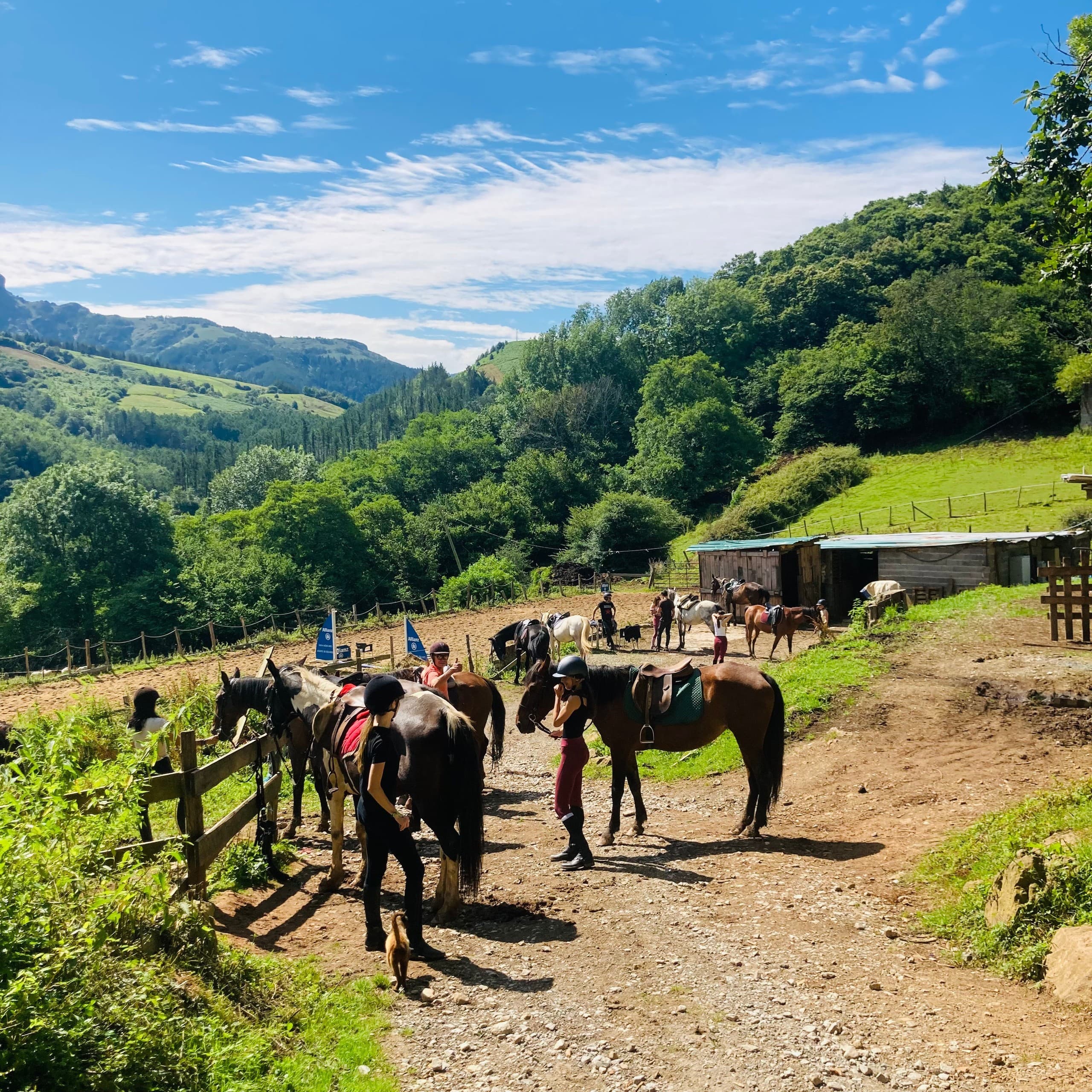 Afternoon Horseback Ride with Snack near San Sebastián: Forest Trails & Basque Countryside photo 3