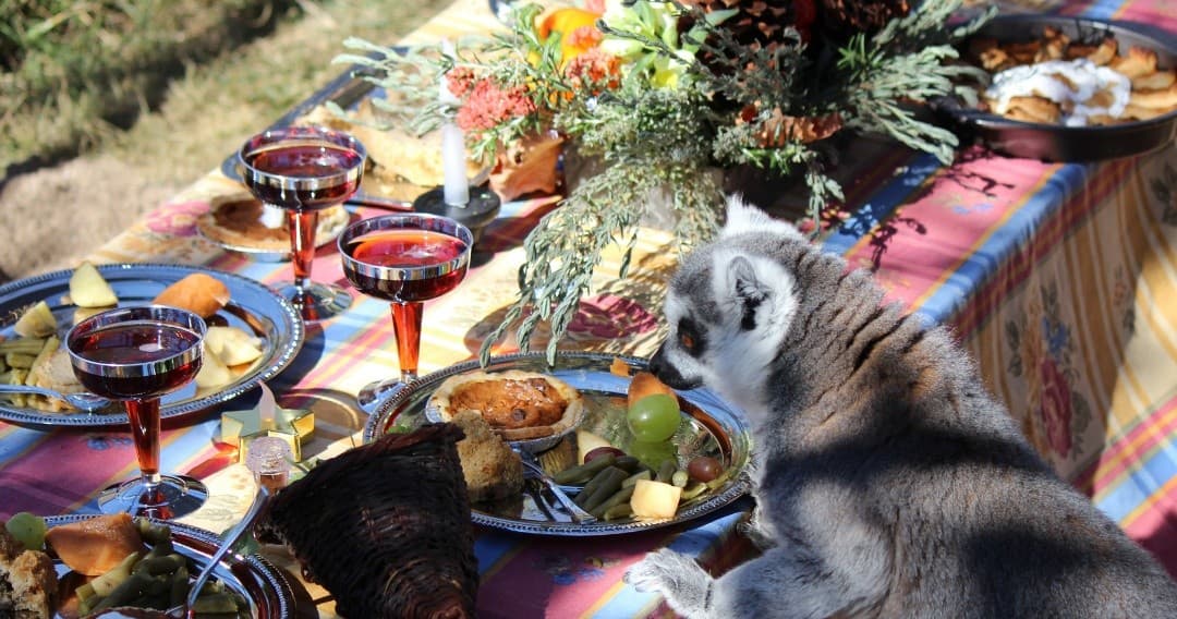 Wildlife & Family Fun at Heritage Park Zoological Sanctuary