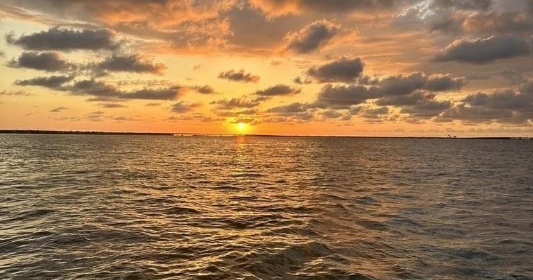 Sunset Sightseeing with Faith and Fins Charters in Bokeelia