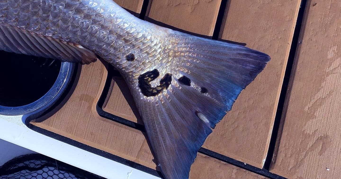 Seven Hour Fishing Charter in Little River, SC